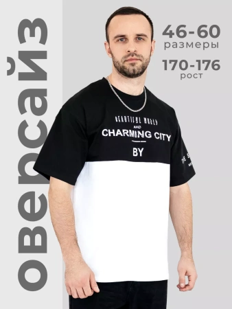 Футболка мужская базовая хлопок с принтом