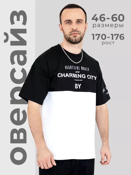 Футболка мужская базовая хлопок с принтом