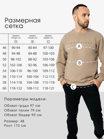 Свитшот мужской с принтом больших размеров