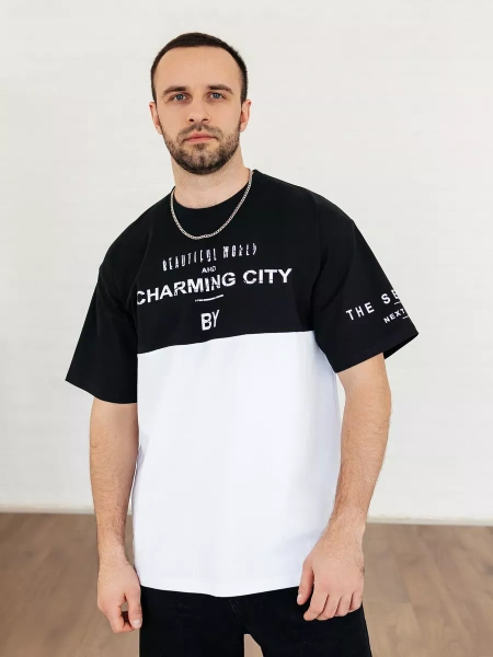 Футболка мужская базовая хлопок с принтом