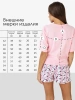 Пижама женская с шортами большие размеры хлопок