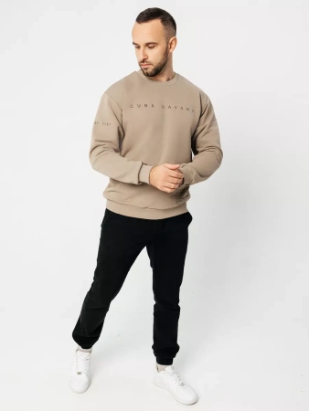 Свитшот мужской с принтом больших размеров