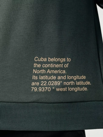 Свитшот мужской базовый с принтом оверсайз