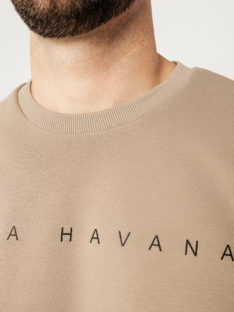 Свитшот мужской с принтом больших размеров