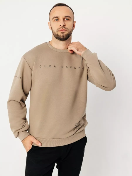 Свитшот мужской с принтом больших размеров