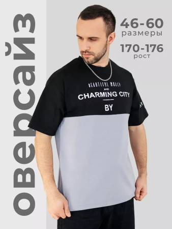 Футболка мужская базовая хлопок с принтом