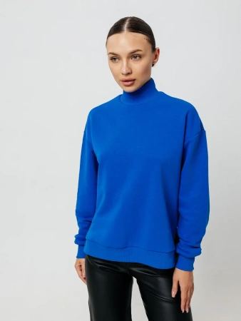 Свитер с горлом кофта с длинным рукавом ДФ542