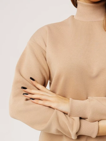 Свитер с горлом кофта с длинным рукавом ДФ542