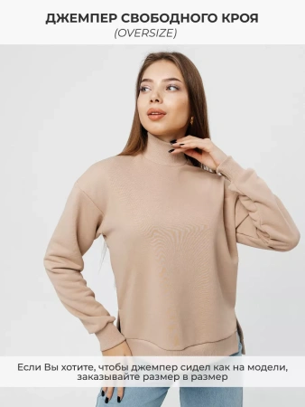 Свитер с горлом кофта с длинным рукавом ДФ542