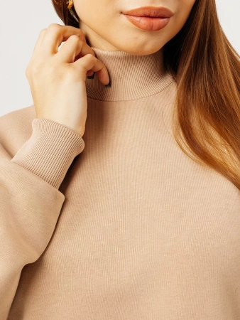 Свитер с горлом кофта с длинным рукавом ДФ542